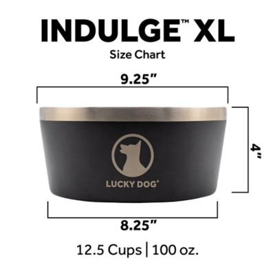 Image showing  12.5-Cup INDULGE XL Double Wall Non-Slip Stainless Steel Dog Bowl, 100 oz.
