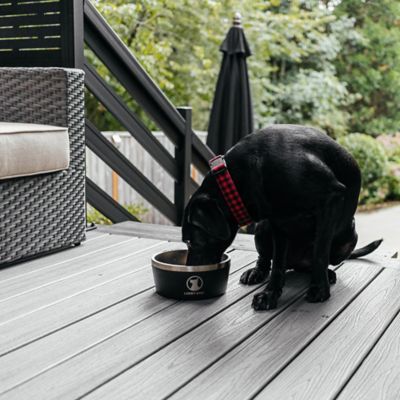 Image showing  12.5-Cup INDULGE XL Double Wall Non-Slip Stainless Steel Dog Bowl, 100 oz.
