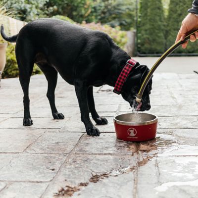 Image showing  12.5-Cup INDULGE XL Double Wall Non-Slip Stainless Steel Dog Bowl, 100 oz.