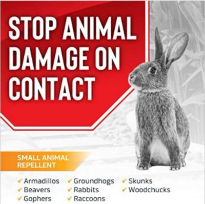 Image showing  12 lb. Ready-to-Use Animal Repellent