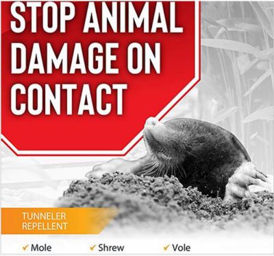 Image showing  12 lb. Mole and Vole Stopper Ready-to-Use Animal Repellent