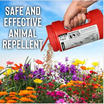 Image showing  40 lb. Reptile Stopper Ready-to-Use Animal Repellent Granules