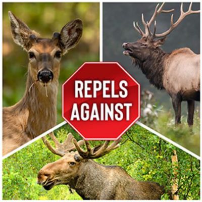 Image showing  2.5 gal. Deer Stopper II Animal Repellent Concentrate