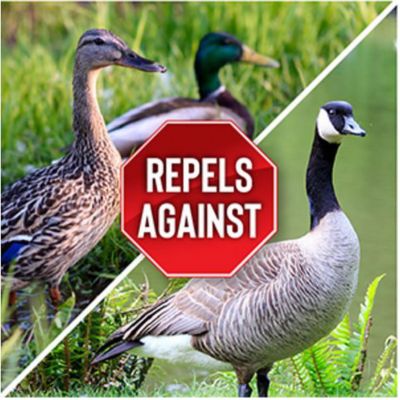 Image showing  32 oz. Goose Stopper Animal Repellent Concentrate