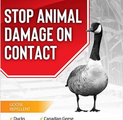 Image showing  32 oz. Goose Stopper Ready-to-Spray Animal Repellent, Hose End