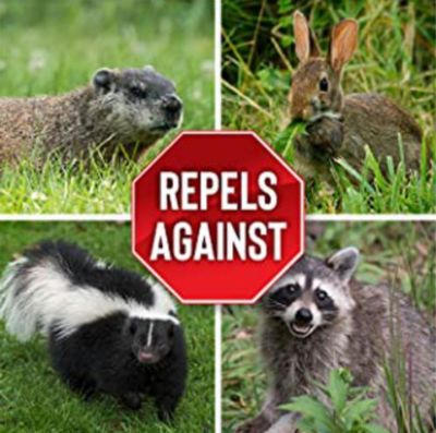 Image showing  1 gal. Ready-to-Use Animal Repellent with Nested Sprayer