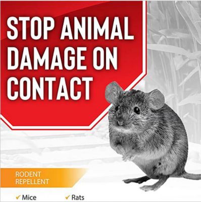 Image showing  1 gal. Rodent Stopper Ready-to-Use Animal Repellent with Nested Sprayer