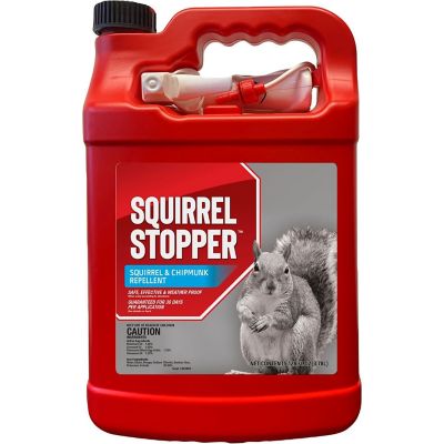 Animal Stoppers Squirrel Stopper Animal Repellent, Gallon Ready-to-Use with Nested Sprayer