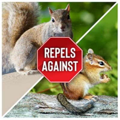 Image showing  1 gal. Squirrel Stopper Ready-to-Use Animal Repellent with Nested Sprayer