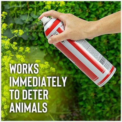 Image showing  1 gal. Squirrel Stopper Ready-to-Use Animal Repellent with Nested Sprayer