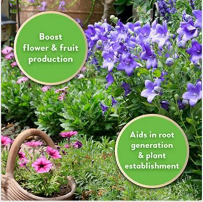 Image showing  32 oz. Concentrate Plant Food