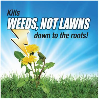 Image showing  32 oz. Weed Killer for Lawns, Ready-to-Use