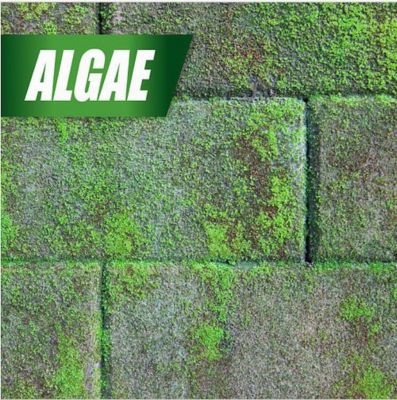 Image showing 5 th PULVERIZE 2.5 gal. Weed Killer, Concentrate for Lawns