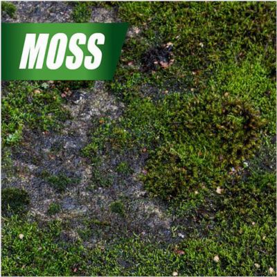 Image showing 6 th PULVERIZE 1 gal. Weed Killer for Lawns with Nested Trigger