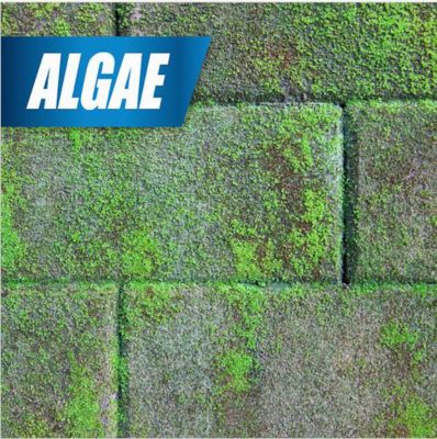 Image showing 5 th PULVERIZE 1 gal. Weed and Grass Killer with Nested Trigger