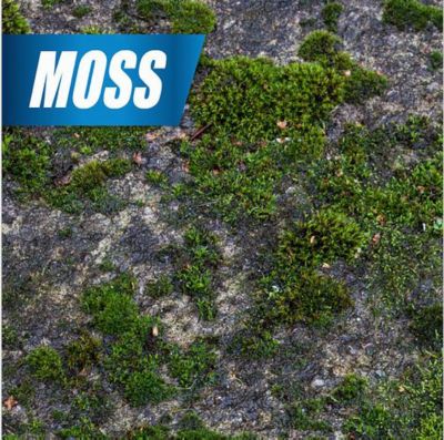 Image showing 6 th PULVERIZE 1 gal. Weed and Grass Killer with Nested Trigger