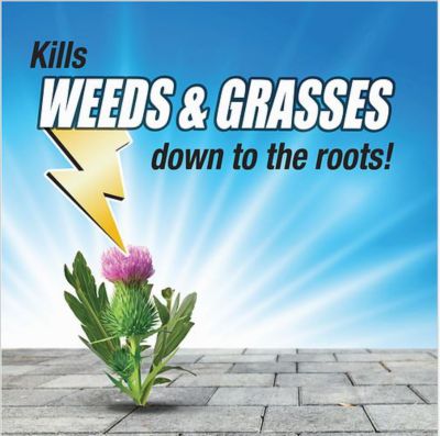 Image showing  1 gal. Weed and Grass Killer with Battery Sprayer