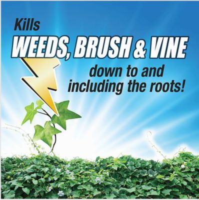 Image showing  32 oz. Weed Brush and Vine Killer, Concentrate