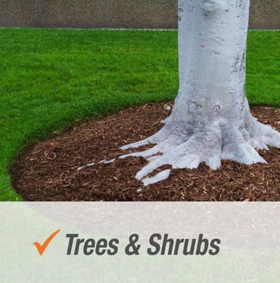 Image showing  32 oz. Ready-to-Use Weed Brush and Vine Killer