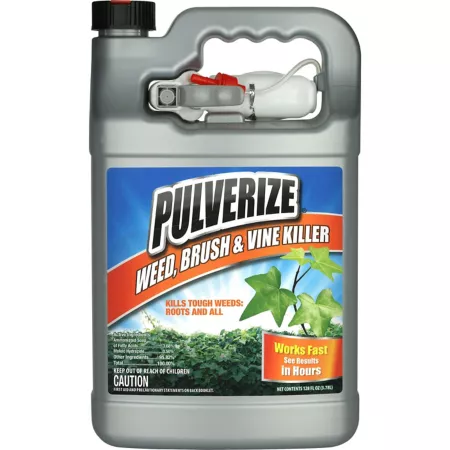 SPRAY 1 gal Ready-to-use weed brush and weed killer with interlocking trigger Weed Killers