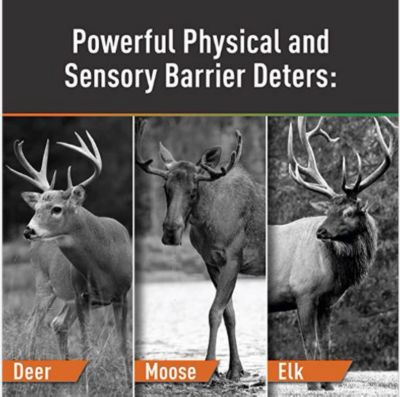 Image showing  32 oz. Deer Repellent Concentrate