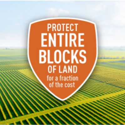 Image showing  White Fiberglass Stakes, 30-Pack