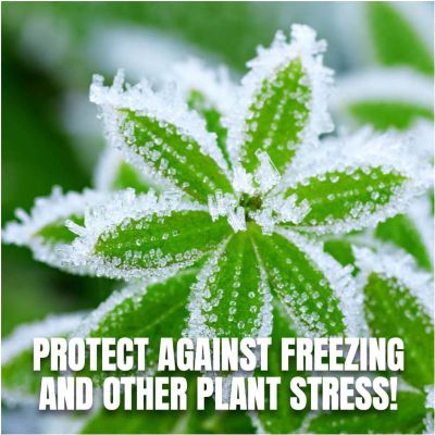 Image showing  Anti-Transpirant Plant Conditioner, 1 qt. Concentrate