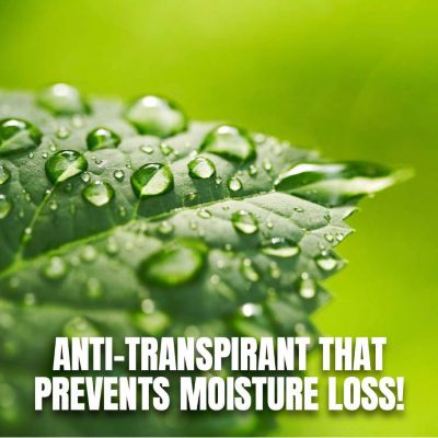 Image showing  Anti-Transpirant Plant Conditioner, 1 qt. Concentrate