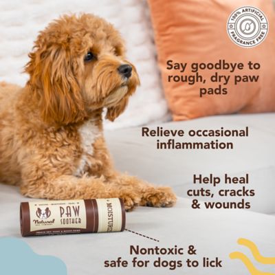 Image showing  Paw Soother Stick for Dogs, 2 oz.