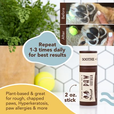 Image showing  Paw Soother Stick for Dogs, 2 oz.