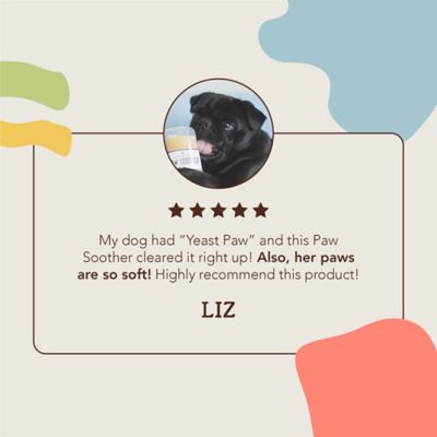 Image showing 8 th Natural Dog Company Paw Soother Stick for Dogs, 2 oz.