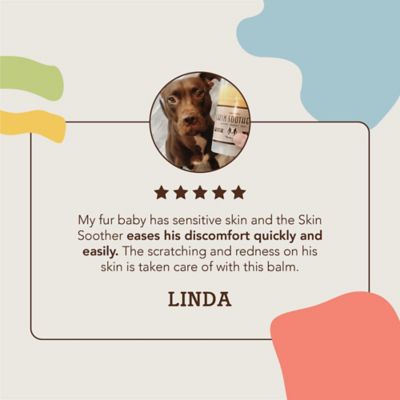 Image showing 8 th Natural Dog Company Skin Soother Stick for Dogs, 2 oz.