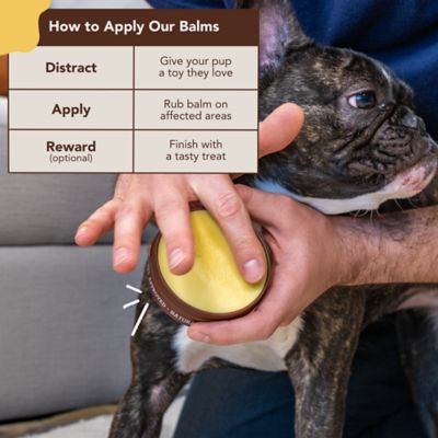 Image showing  Skin Soother Dog Balm Tin, 4 oz.