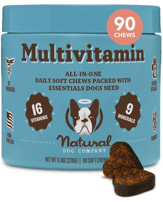 Natural Dog Company Multivitamin Supplement Dogs, Immune Support, 90 Chews