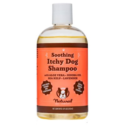 Natural Dog Company Itchy Dog Shampoo, 12 oz. Best Itchy Dog Shampoo