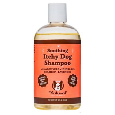 Benzoyl peroxide dog shampoo tractor supply hotsell