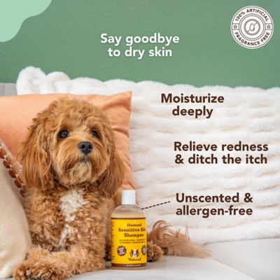 Image showing  Sensitive Skin Oatmeal Shampoo for Dogs, 12 oz.