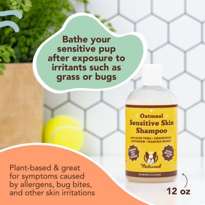 Image showing  Sensitive Skin Oatmeal Shampoo for Dogs, 12 oz.