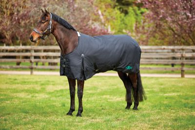 Saxon 250g/1200D Polyester Heavyweight Horse Cover II with Shoulder Gussets and Standard Neck, Heavyweight