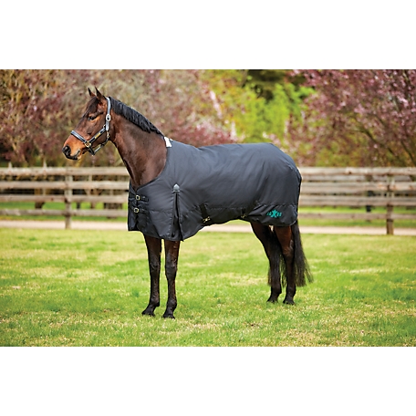 Saxon 1200D Horse Cover II with Shoulder Gussets and Standard Neck, Heavyweight, 250g