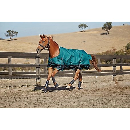 Saxon 1200D Horse Cover II with Shoulder Gussets and Standard Neck, Heavyweight, 250g