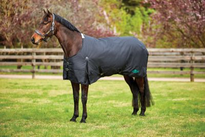 Saxon 1200D Horse Cover II with Shoulder Gussets and Standard Neck, Lite, 0g