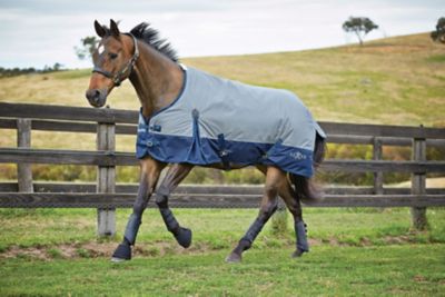 Saxon 600D Horse Cover II with Shoulder Gussets and Standard Neck, Lite, 0g