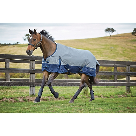 Saxon 600D Horse Cover II with Shoulder Gussets and Standard Neck, Mediumweight, 180g