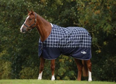 Image showing  Defiant 200g/600D Polyester Mediumweight Horse Sheet with Standard Neck