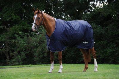 Saxon Defiant 200g/600D Polyester Mediumweight Horse Sheet with Standard Neck