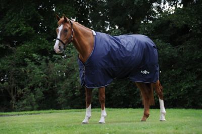 Image showing  Defiant 200g/600D Polyester Mediumweight Horse Sheet with Standard Neck