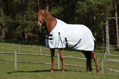 Kool Coat Classic Standard Neck with Surcingles III Horse Fly Sheet