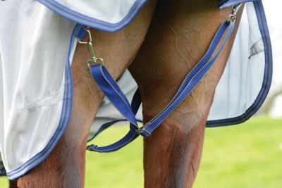 Image showing 5 th WeatherBeeta ComFiTec Airflow II Detach-A-Neck Horse Fly Sheet