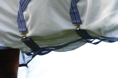 Image showing 6 th WeatherBeeta ComFiTec Airflow II Detach-A-Neck Horse Fly Sheet